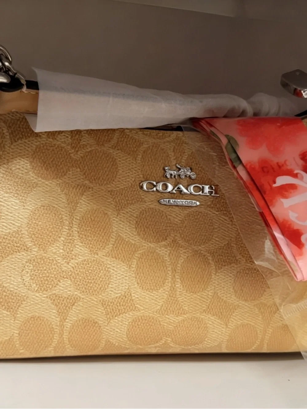 Coach Teri shoulder bag in signature canvas